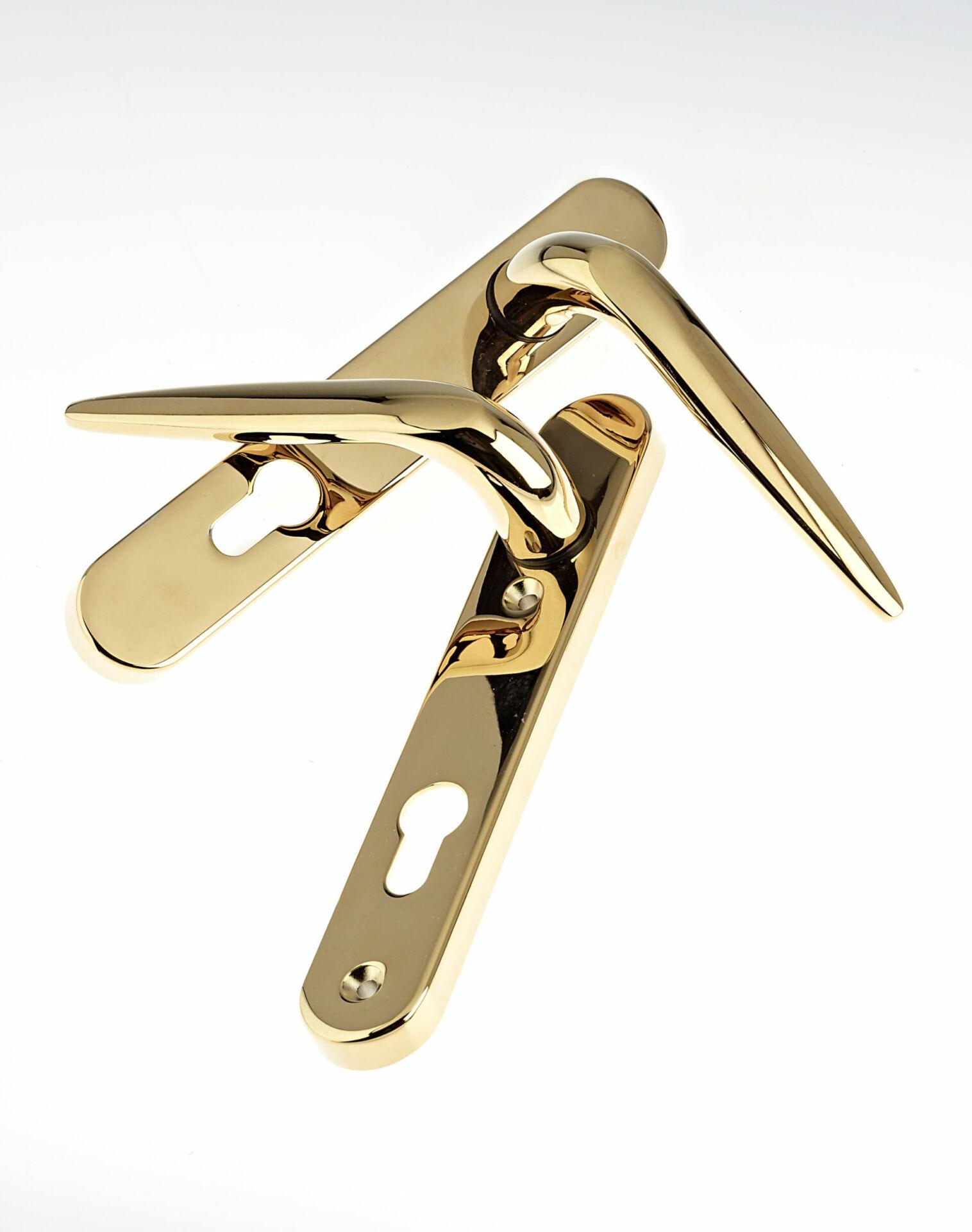 Trojan Hardware Sparta Short Backplate Polished Gold Door Handle