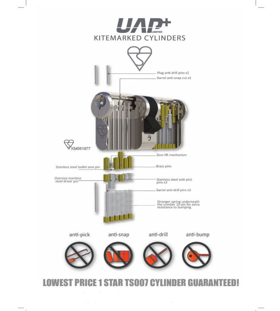 UAP Anti Snap 40/40 (80mm Overall) Brass Euro Profile Cylinder Lock - Image 2