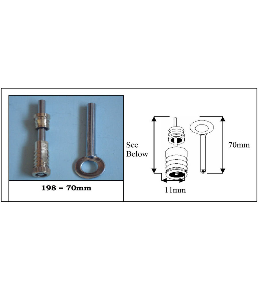 198 Dual Screw Polished Brass