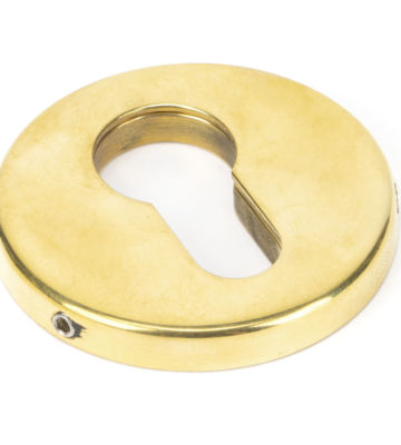 From The Anvil Aged Brass 52mm Regency Concealed Escutcheon