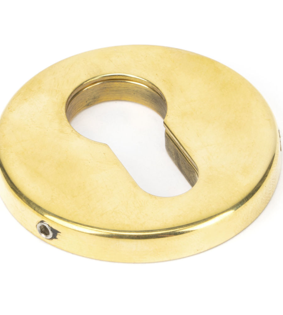 Aged Brass 52mm Regency Concealed Escutcheon