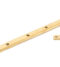 From The Anvil Polished Brass 12" Monkeytail Stay