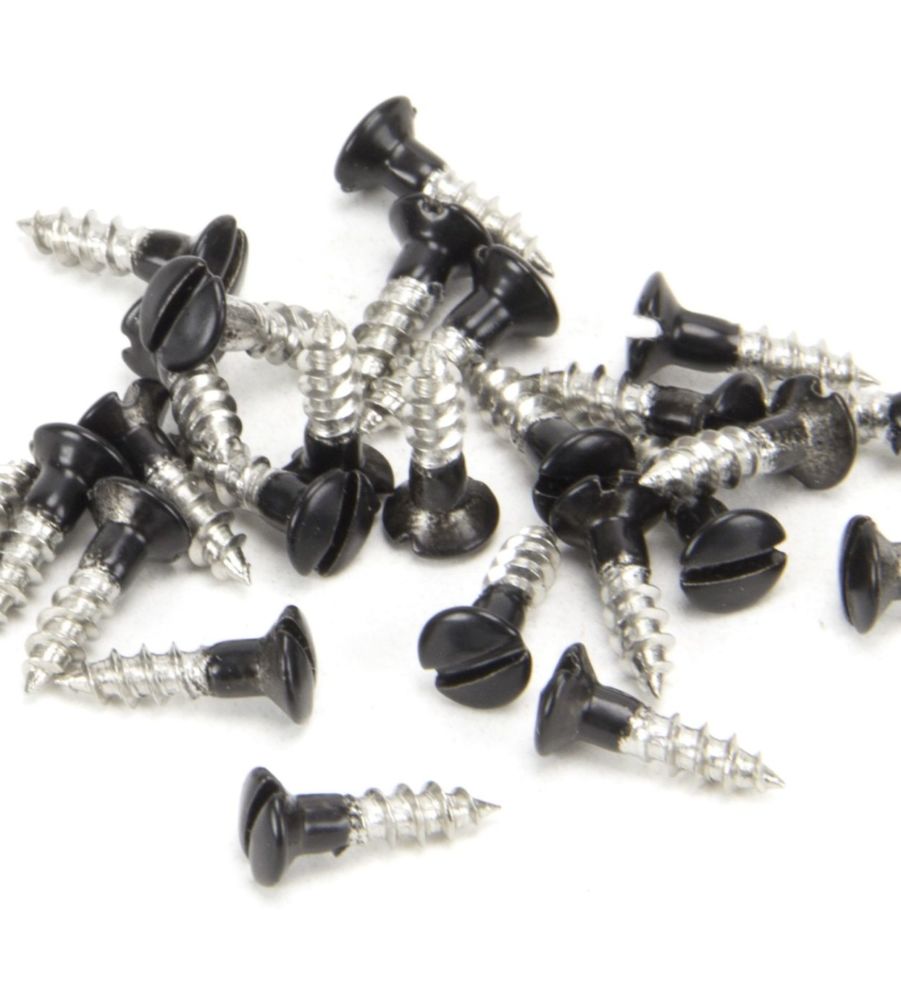 Black SS 3.0 x 12mm Countersunk Raised Head Screws (25)