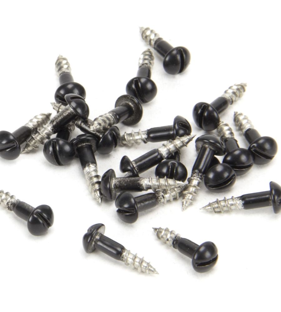 Black SS 3.0 x 12mm Round Head Screws (25)