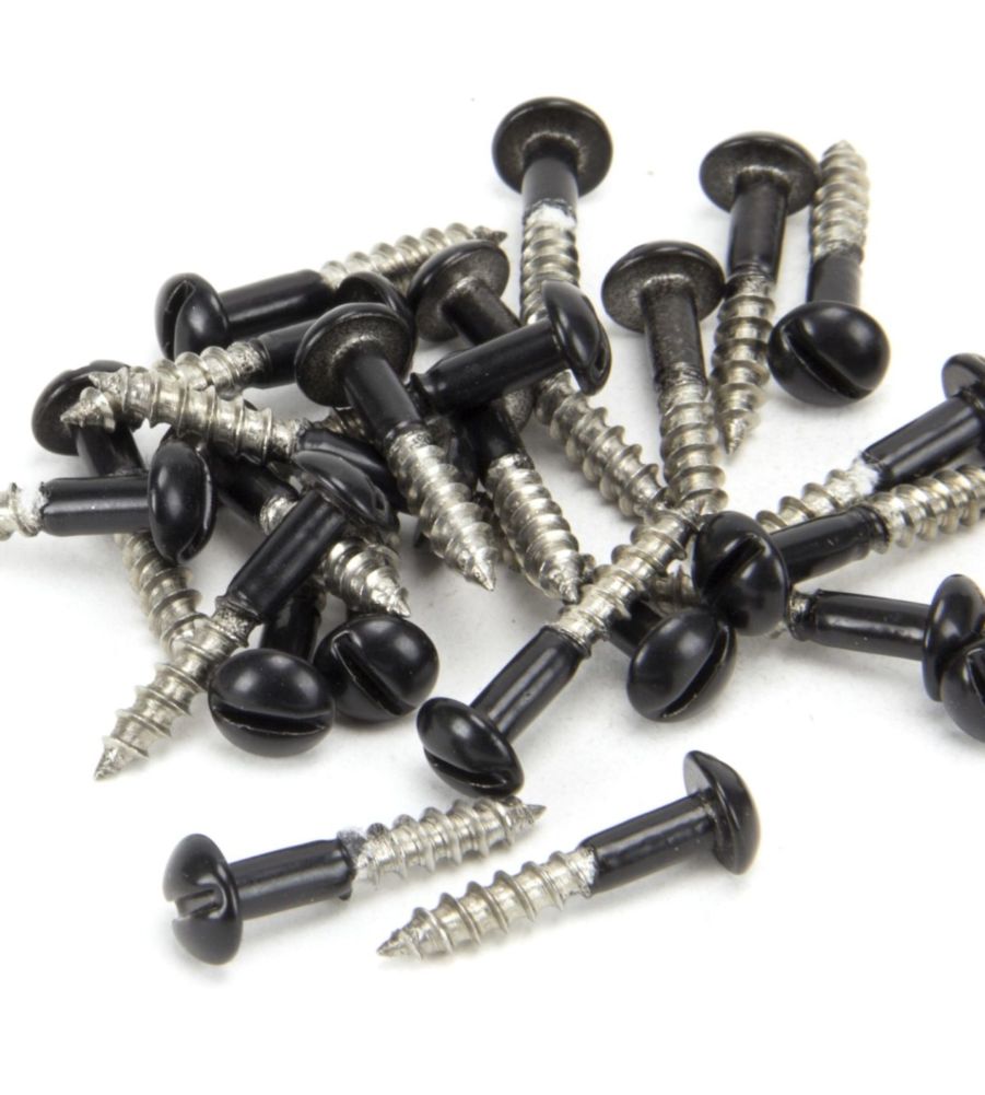 Black SS 3.5 x 20mm Round Head Screws (25)