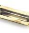 Aged Brass Flush Handle
