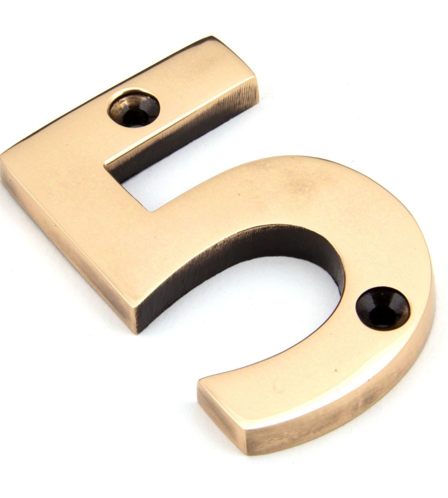Polished Bronze Numeral 5
