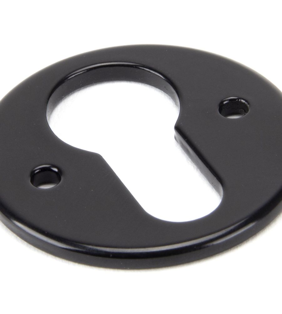 Black Regency Euro Escutcheon