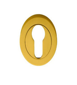 Carlisle Brass AA1 Escutcheon Polished Brass - Euro Profile On Concealed Fix Round Rose 50mm