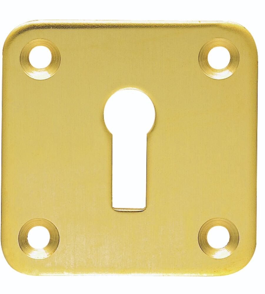 CARLISLE BRASS AA4 VICTORIAN LOCK PROFILE SQUARE ESCUTCHEON FACE FIX 51MM