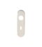 CARLISLE BRASS CPRP1170SSS 174 X 45 X 8MM STEELWORX RADIUS BACKPLATES - LOCK (57MM C/C)  - PAIR