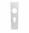CARLISLE BRASS CPSE1170SSS 174 X 45 X 8MM STEELWORX SQUARE BACKPLATES - LOCK EURO PROFILE (47.5MM C/C)  - PAIR