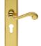 CARLISLE BRASS DL271Y CHESHAM LEVER ON BACKPLATE - LOCK EURO PROFILE 47.5MM C/C 248MM X 48MM - PAIR