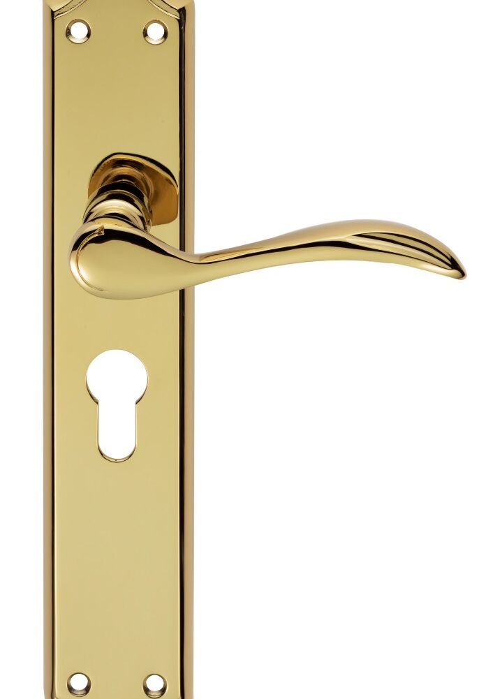 CARLISLE BRASS DL290YPVD MADRID LEVER ON BACKPLATE - LOCK EURO PROFILE 47.5MM C/C 242MM X 45MM - PAIR