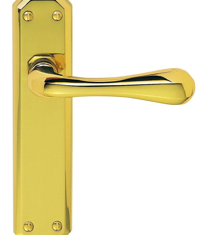 CARLISLE BRASS DL411 EDEN LEVER ON BACKPLATE - LATCH 180MM X 40MM - PAIR