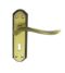 CARLISLE BRASS DL450FB/BP LYTHAM LEVER ON BACKPLATE - LOCK 57MM C/C - PAIR