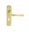 CARLISLE BRASS EL11 IBRA LEVER ON BACKPLATE - LOCK 57MM C/C OTL (POLISHED BRASS) 185MM X 40MM - PAIR