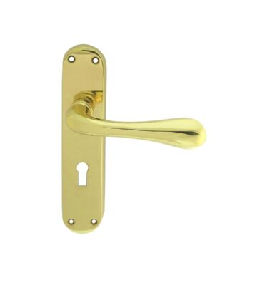 Carlisle Brass EL21 Astro Lever On Backplate – Lock 57mm C/C Otl (Polished Brass) 185mm X 40mm – Pair