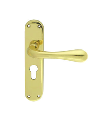 Carlisle Brass EL21Y Astro Lever On Backplate – Lock Euro Profile 47.5mm C/C Otl (Polished Brass) 185mm X 41mm – Pair