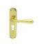 CARLISLE BRASS EL21Y ASTRO LEVER ON BACKPLATE - LOCK EURO PROFILE 47.5MM C/C OTL (POLISHED BRASS) 185MM X 41MM - PAIR
