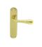 CARLISLE BRASS EL22 ASTRO LEVER ON BACKPLATE - LATCH OTL (POLISHED BRASS) 185MM X 40MM - PAIR