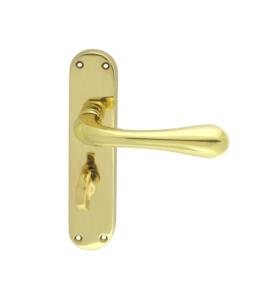 CARLISLE BRASS EL23 ASTRO LEVER ON BACKPLATE - BATHROOM 57MM C/C OTL (POLISHED BRASS) 185MM X 40MM - PAIR