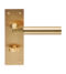 CARLISLE BRASS EUL043SB AMIATA LEVER ON BACKPLATE - BATHROOM 57MM - PAIR