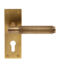 CARLISLE BRASS EUL051YAB VARESE LEVER ON BACKPLATE - EURO 47.5MM - PAIR