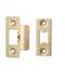 CARLISLE BRASS FSF5009PVD FOREND STRIKE & FIXING PACK TO SUIT HEAVY DUTY TUBULAR LATCH - PACK