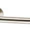 CARLISLE BRASS SW4150SSS 316 GRADE 22MM DIA-GRADE 4 DDA AMBULANT LEVER ON SS THREADED ROSE 55 X 8MM SATIN - PAIR