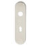 CARLISLE BRASS SWOPSSS LOCK PLATE - PAIR - 57MM C/C - SATIN G316 180 - PAIR
