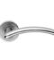 CARLISLE BRASS SZC030SC/BP SEROZZETTA TRES LEVER ON CONCEALED FIX PUSH ON ROUND ROSE  52MM - PAIR