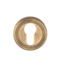 CARLISLE BRASS SZM001AB SEROZZETTA EURO PROFILE ESCUTCHEON ON CONCEALED FIX ROUND ROSE