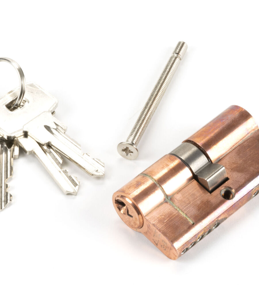 From The Anvil Polished Bronze 30/30 5pin Euro Cylinder - Image 2