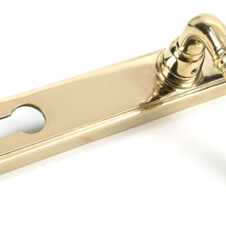 From The Anvil Polished Brass Hinton Slimline Lever Espag. Lock Set - Image 3
