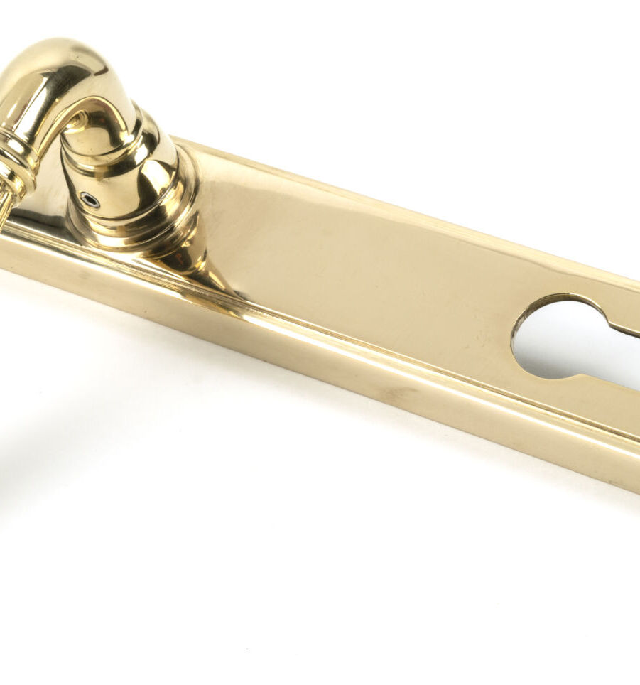 From The Anvil Polished Brass Hinton Slimline Lever Espag. Lock Set - Image 4
