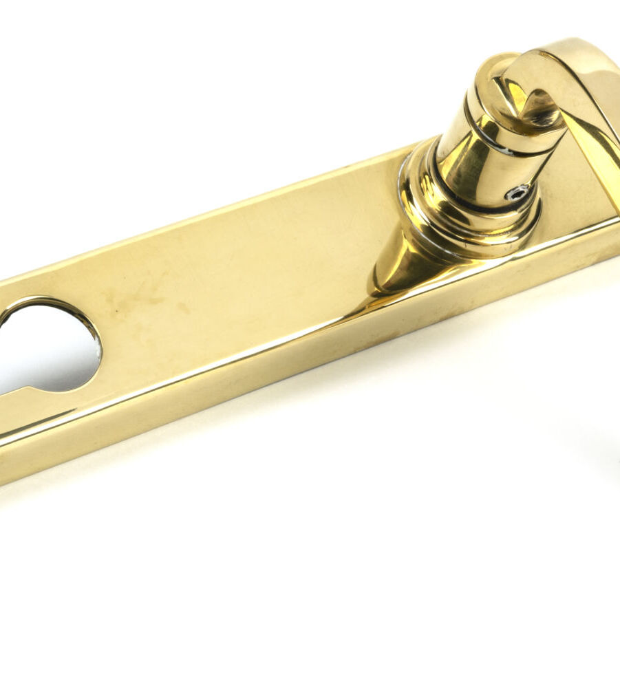 From The Anvil Polished Brass Avon Slimline Lever Espag. Lock Set - Image 3