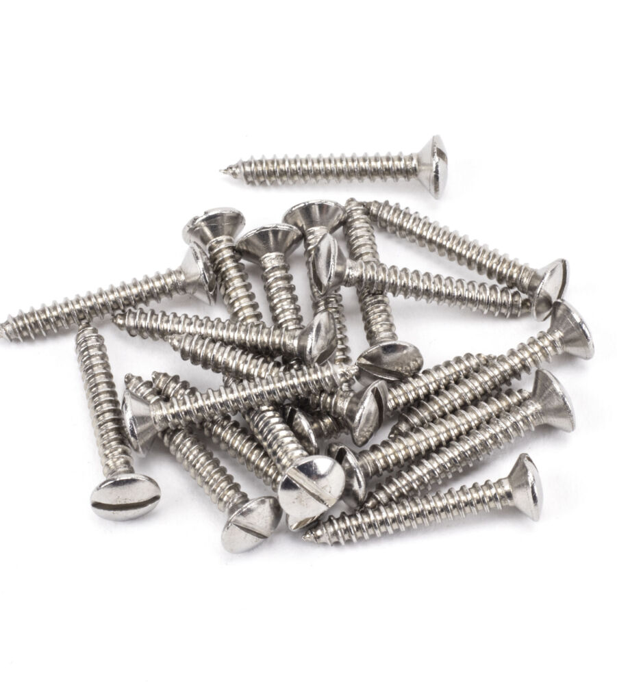 From The Anvil Stainless Steel 6x1" Countersunk Raised Head Screws (25)