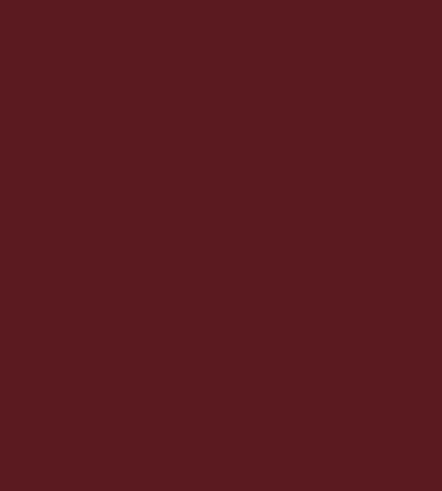 Parasilico Prestige - Bordeaux RAL3005 300ml - Image 3