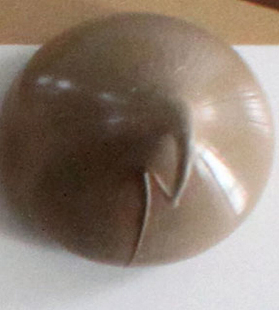 Parasilico Prestige - Brown Beige 300ml - Image 3