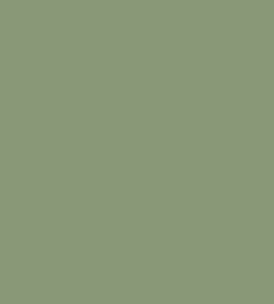 Parasilico Prestige - Chartwell Green RAL6021 300ml - Image 3