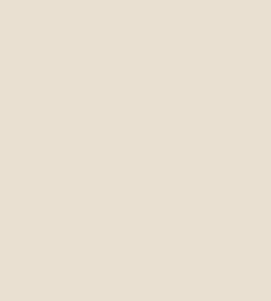 Parasilico Prestige - Cream RAL9001 300ml - Image 3