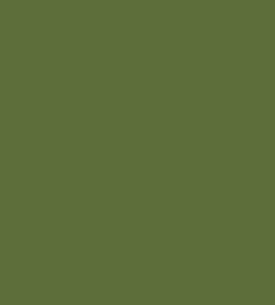 Parasilico Prestige - Fern Green RAL6025 300ml - Image 3