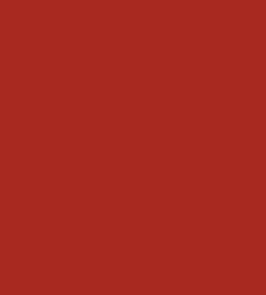 Parasilico Prestige - Flame Red RAL3000 300ml - Image 3