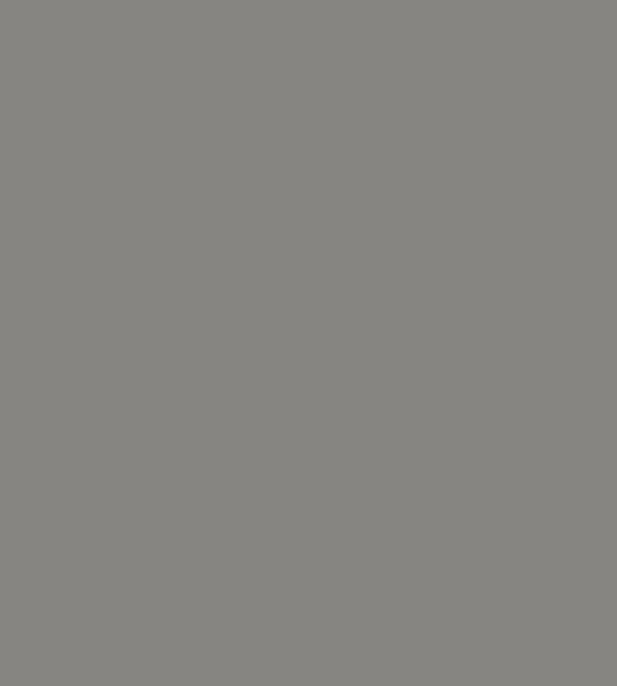 Parasilico Prestige - Grey Aluminium RAL9007 300ml - Image 3