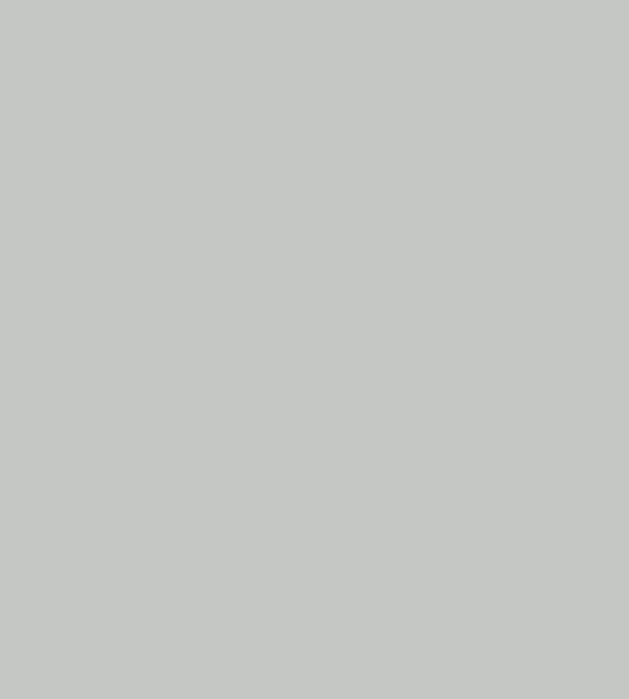 Parasilico Prestige - Light Grey RAL7035 300ml - Image 3