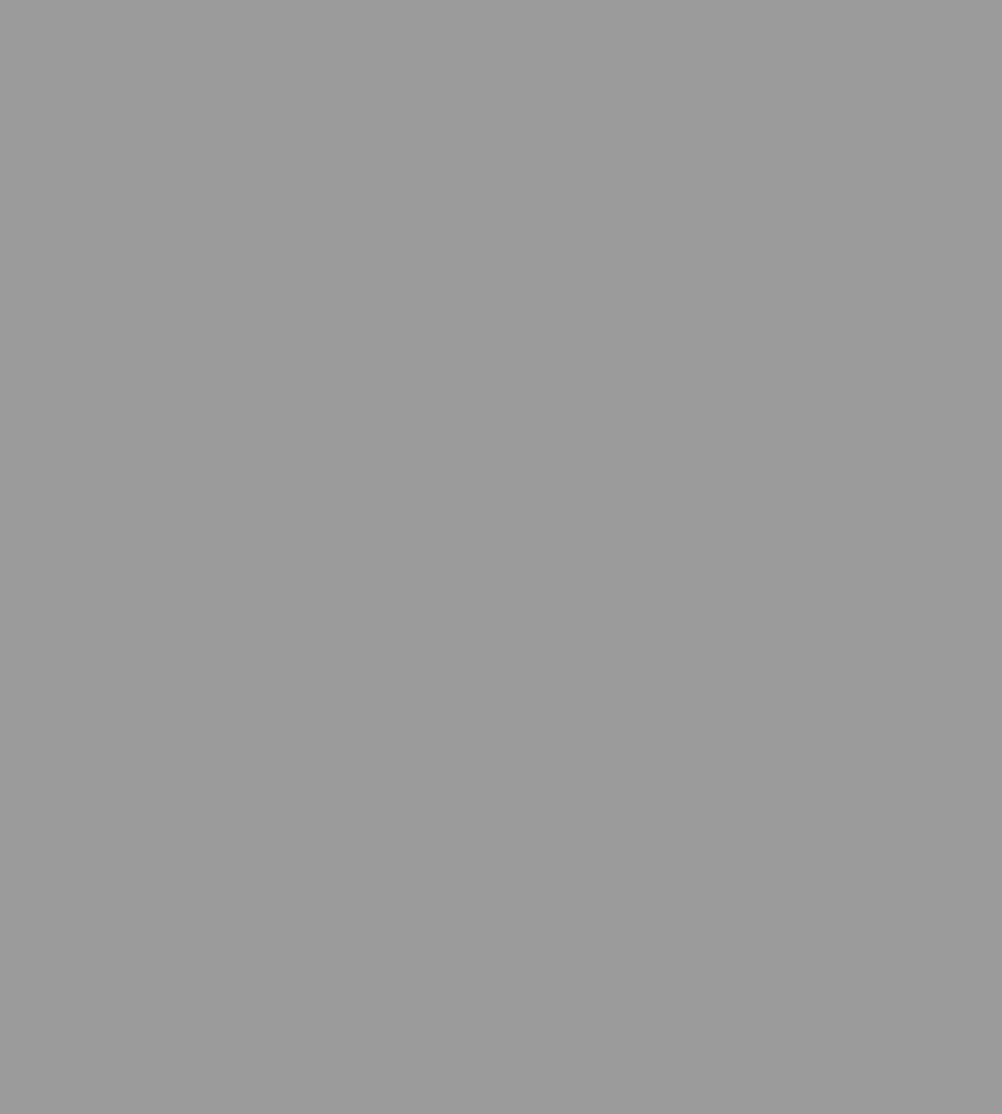Parasilico Prestige MATT - Grey RAL7004 - Image 3