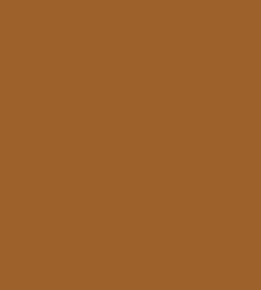 Parasilico Prestige - Ochre RAL8001 300ml - Image 3