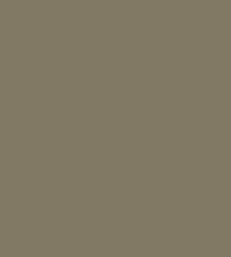 Parasilico Prestige - Olive Grey RAL7002 300ml - Image 3