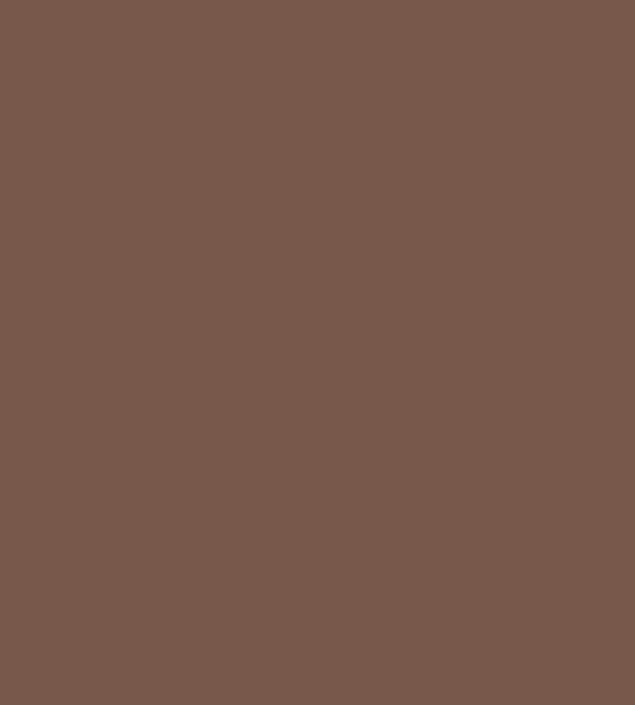 Parasilico Prestige - Pale Brown RAL8025 300ml - Image 3